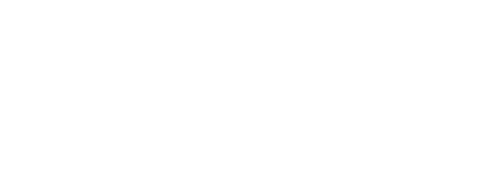 オルガノでの成長
